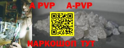 бошки Кингисепп