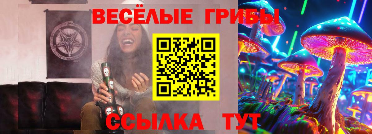 Псилоцибиновые грибы прущие грибы  Вход с VPN  Лыткарино 